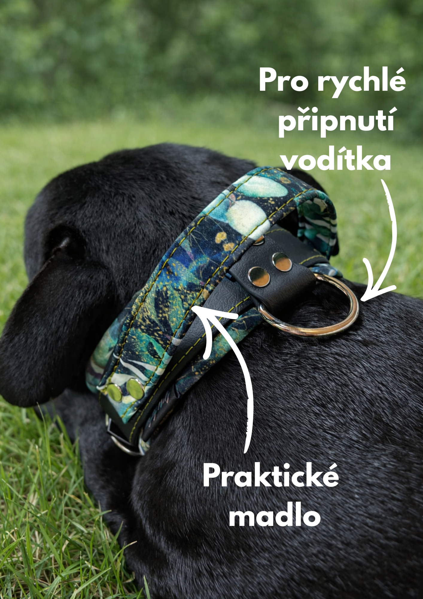 Bez názvu (Leták (A4))